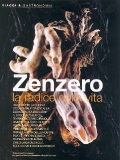 gulliver-luglio 2001