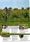 myself n4_marzo 2012-p193