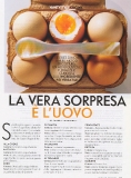 vanity-n14_2006