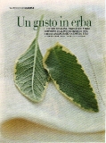 vanity-n28_2004