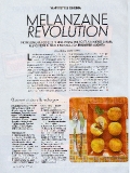 vanity-n29_2006