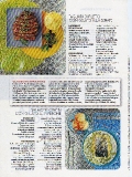 vanity-n31_2006