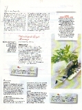 vanity-n36_2004