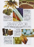 vanity-n42_2008