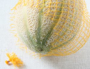 Come si sceglie (coltiva e cucina) un dolcissimo Melone
