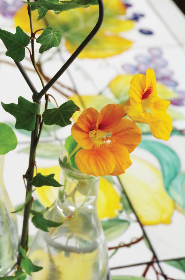 fiori di nasturzio | ©foto Marino Visigalli dal mio libro "Home Kitchen Garden" Nomos Edizioni