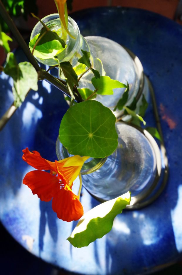 un'oliera come vaso da fiori, perché no? | ©foto Marino Visigalli dal mio libro "Home Kitchen Garden" Nomos Edizioni