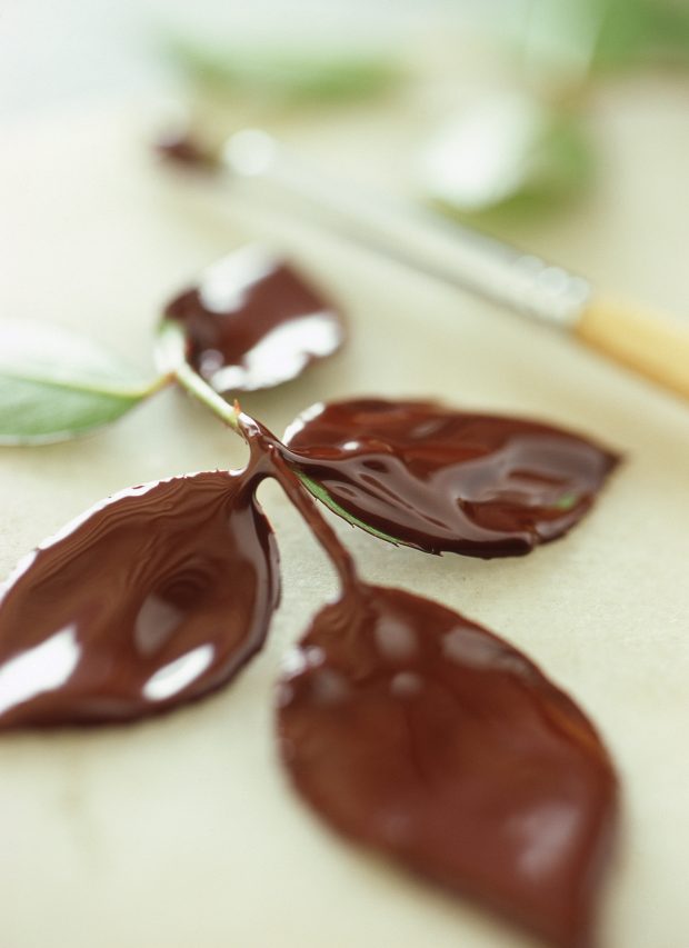 foglie di cioccolato | ©foto Marino Visigalli dal mio libro "Home Kitchen Garden" Nomos Edizioni