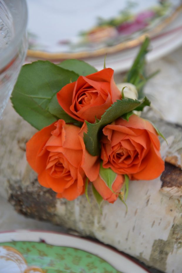 Un mazzetto di roselline legato a un tronco diventa centrotavola | ©foto Marino Visigalli dal mio libro "Home Kitchen Garden" Nomos Edizioni