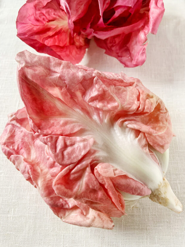 Raddichio Rosa Radicchio Rosa di Verona e la ricetta Think Pink Salad \ con 3 varianti