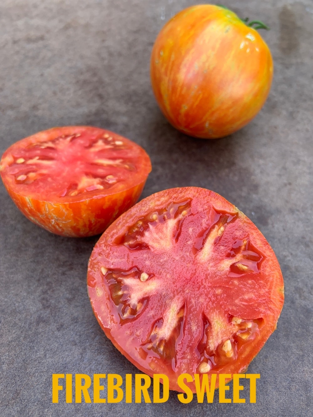La coltivazione dei pomodori in vaso è particolarmente facile con le varietà nane come questa Firebird | Fattipomodorituoi | ©foto Sandra Longinotti