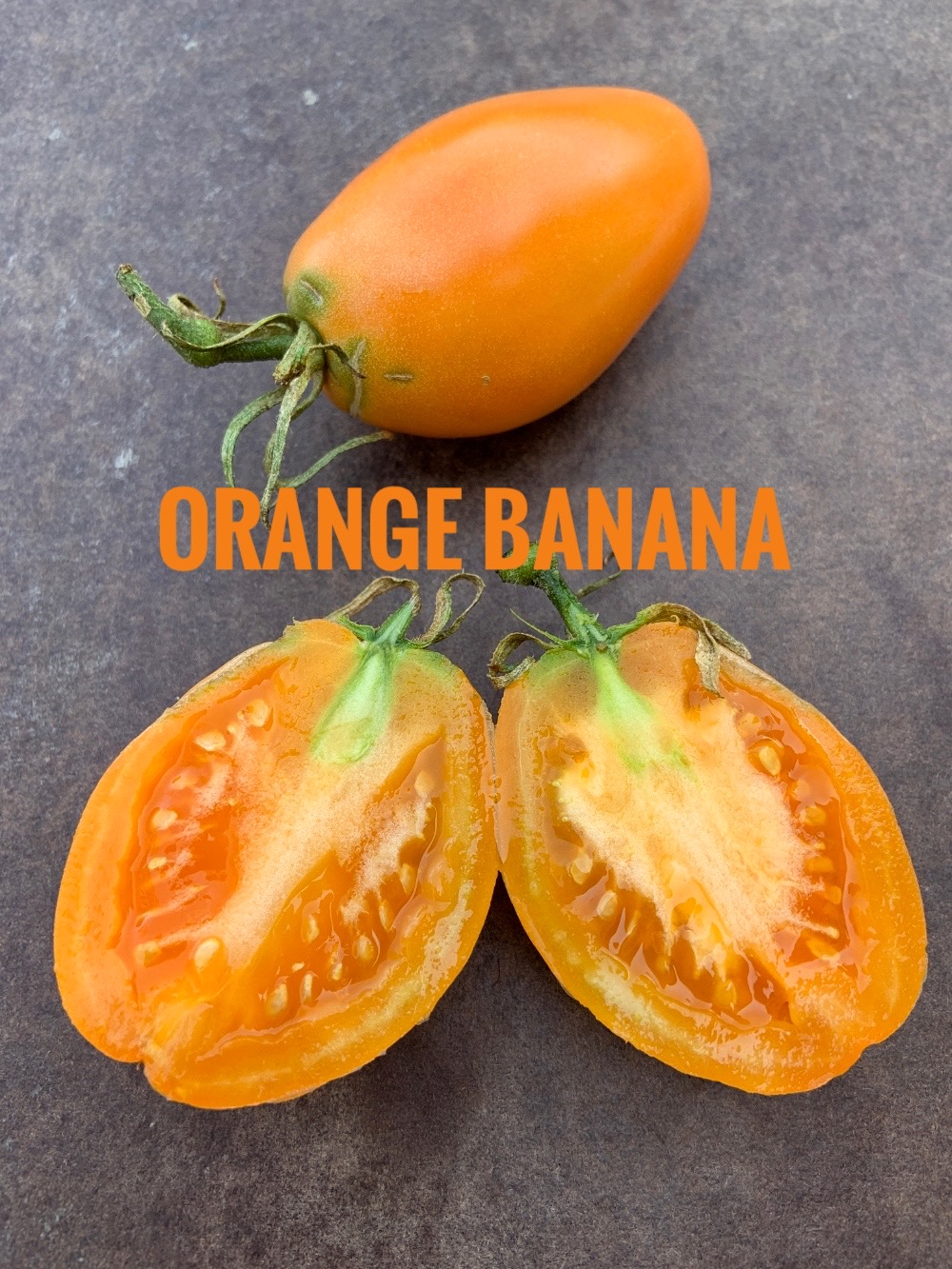 Pomodoro varietà Orange Banana | Fattipomodorituoi | ©foto Sandra Longinotti