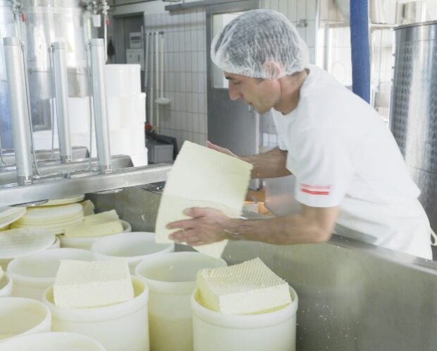 Philipp Messmer mette il formaggio fresco Appenzeller® tagliato a cubi nelle forme per la pressatura che gli darà una forma rotonda.
