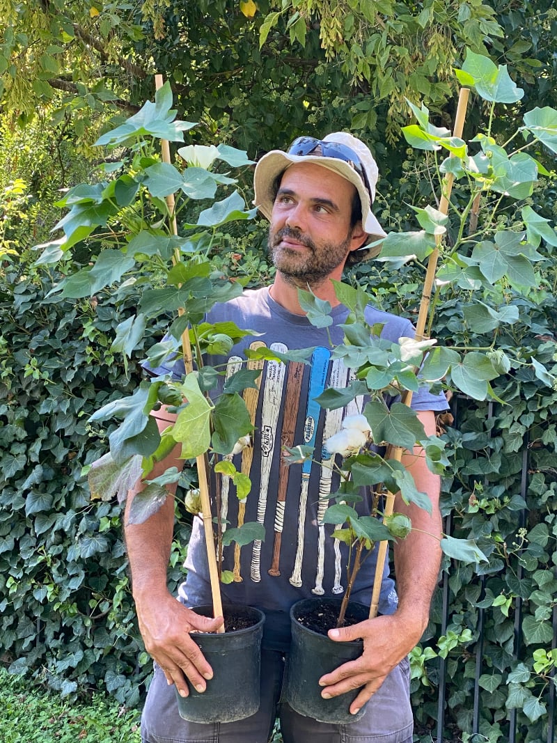Davide Bacci nel suo vivaio | foto Bacci